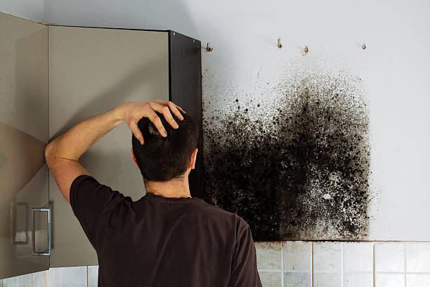 Best Crawl Space Mold Removal  in East York, PA